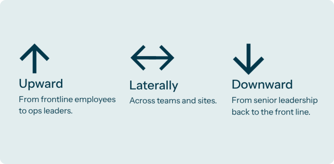 A graphic representation of the feedback loop outlined above.
