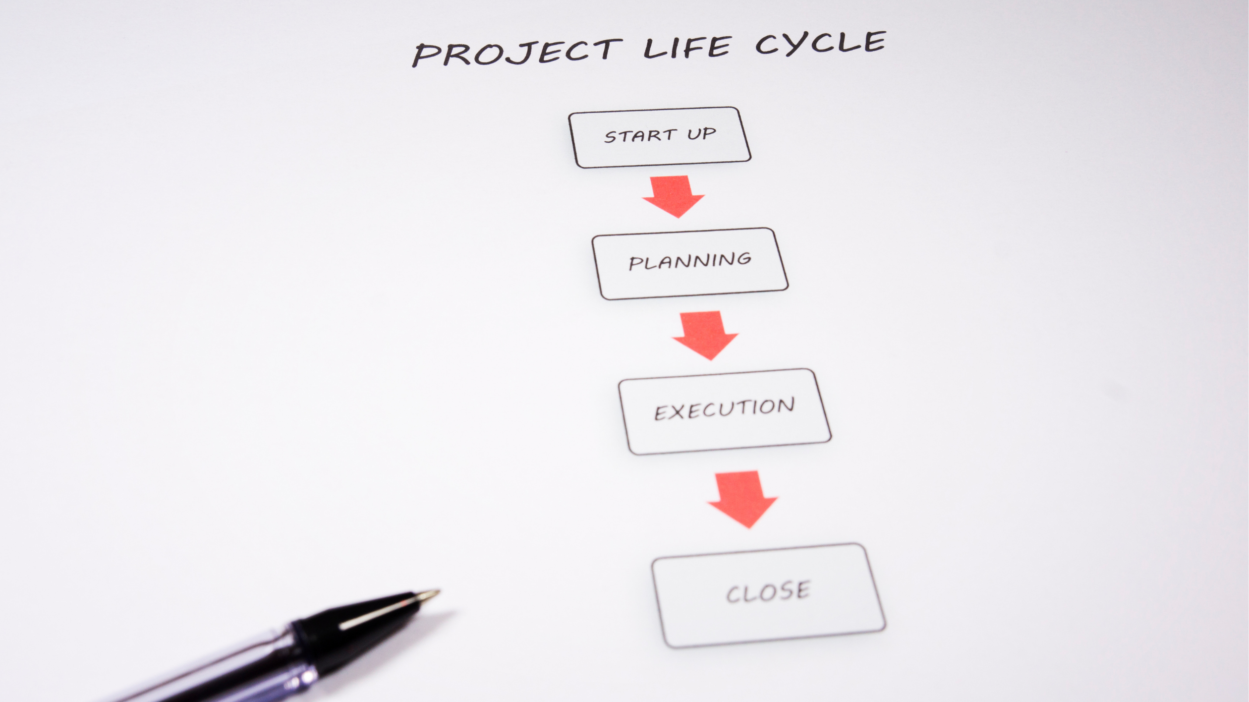What are the phases of project cycle management?