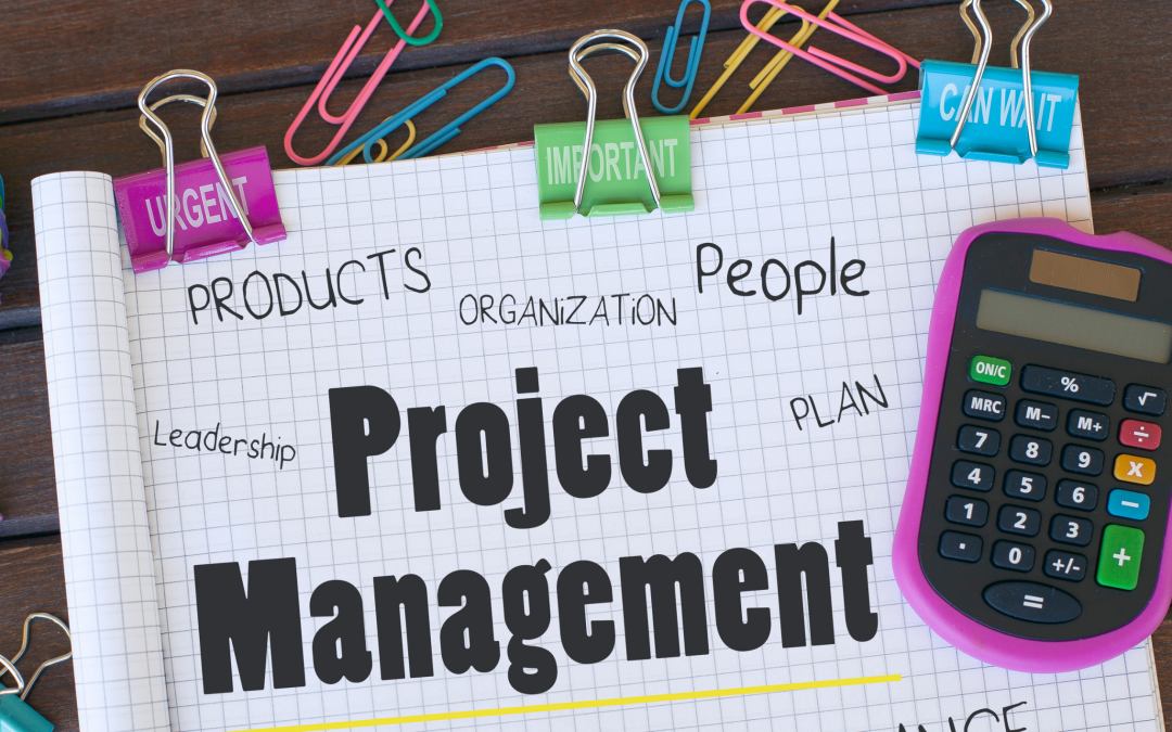 9 project management tips